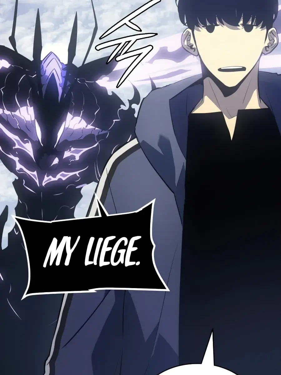 Solo Leveling Chapter 169 Page 47