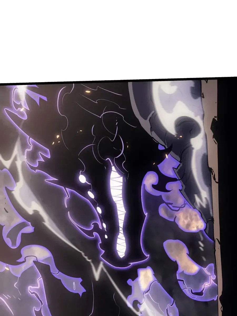 Solo Leveling Chapter 171 Page 155