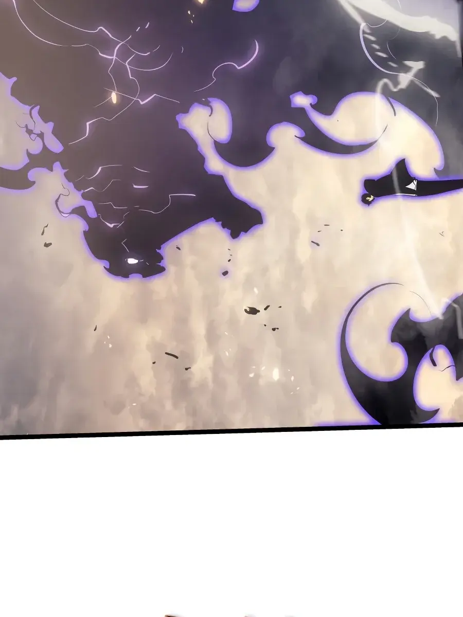 Solo Leveling Chapter 171 Page 157