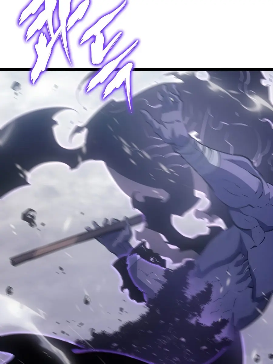 Solo Leveling Chapter 172 Page 46