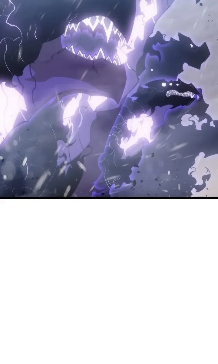 Solo Leveling Chapter 173 Page 60