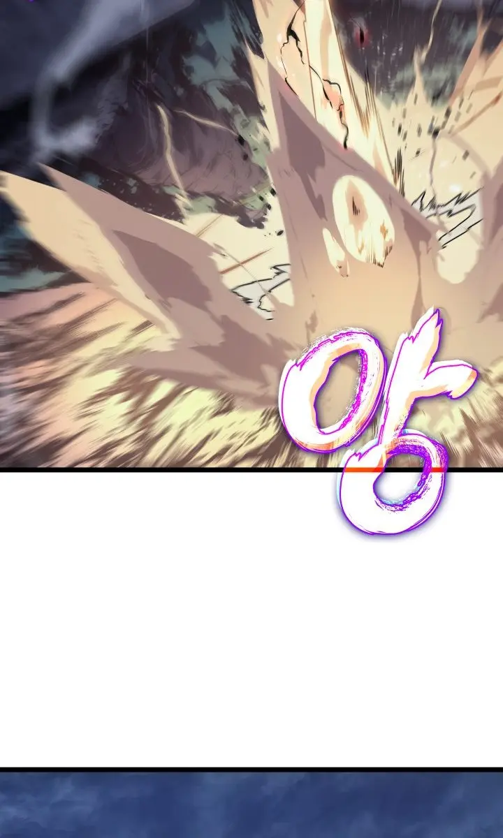 Solo Leveling Chapter 175 Page 47