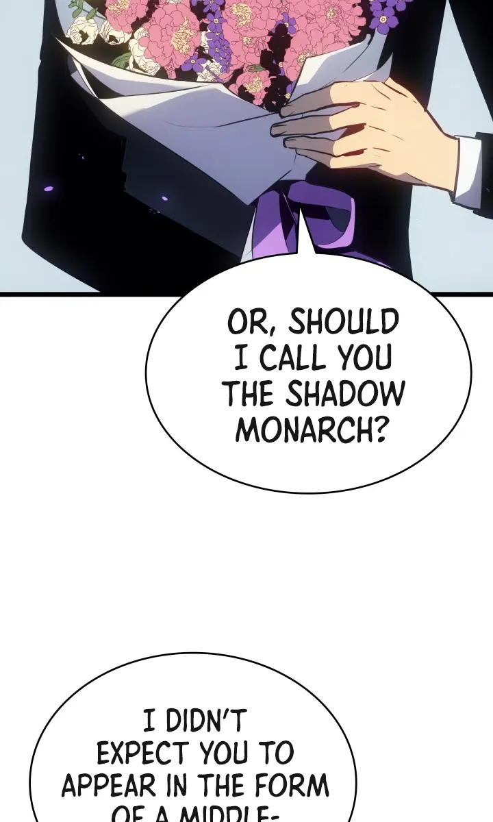 Solo Leveling Chapter 179 Page 24