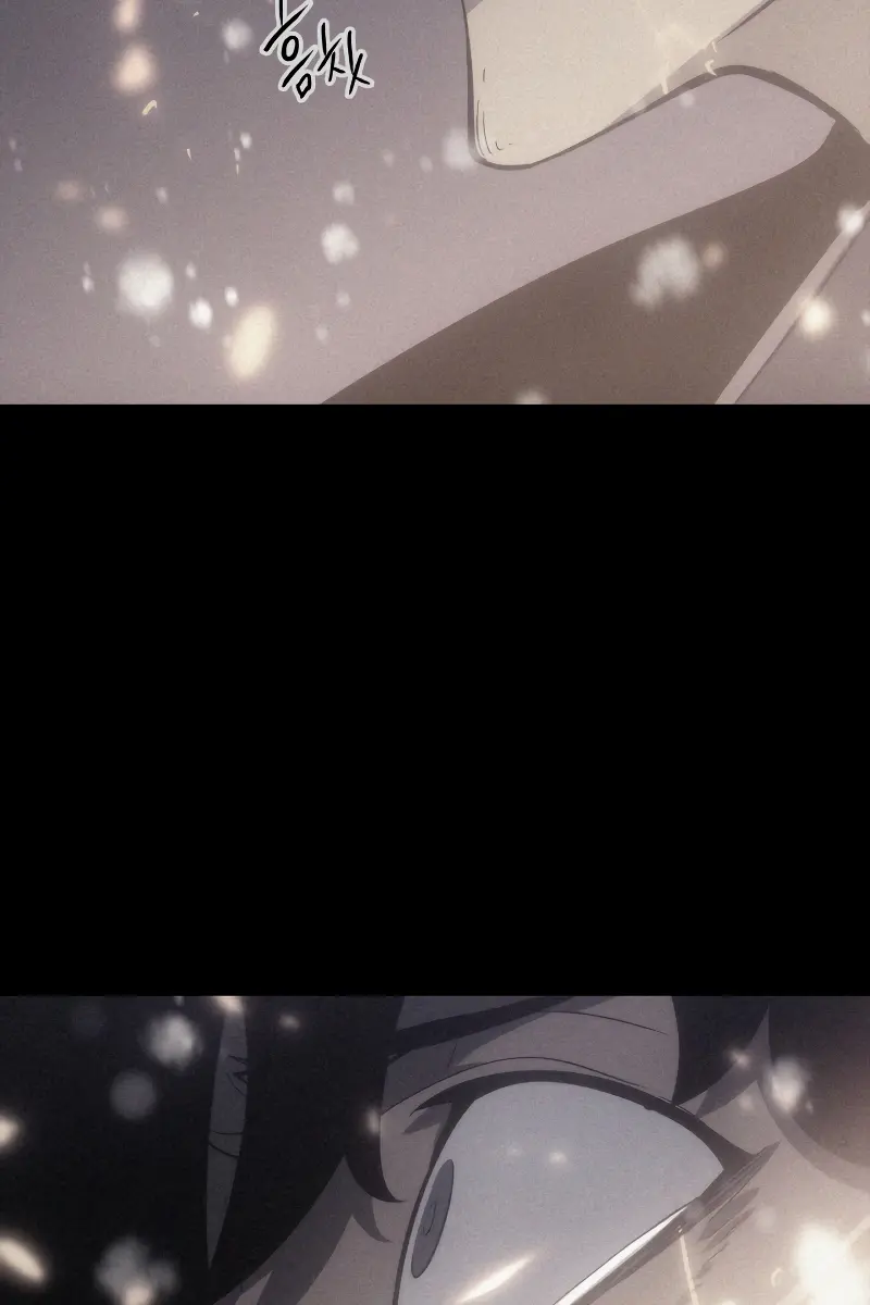 Solo Leveling Chapter 188 Page 17