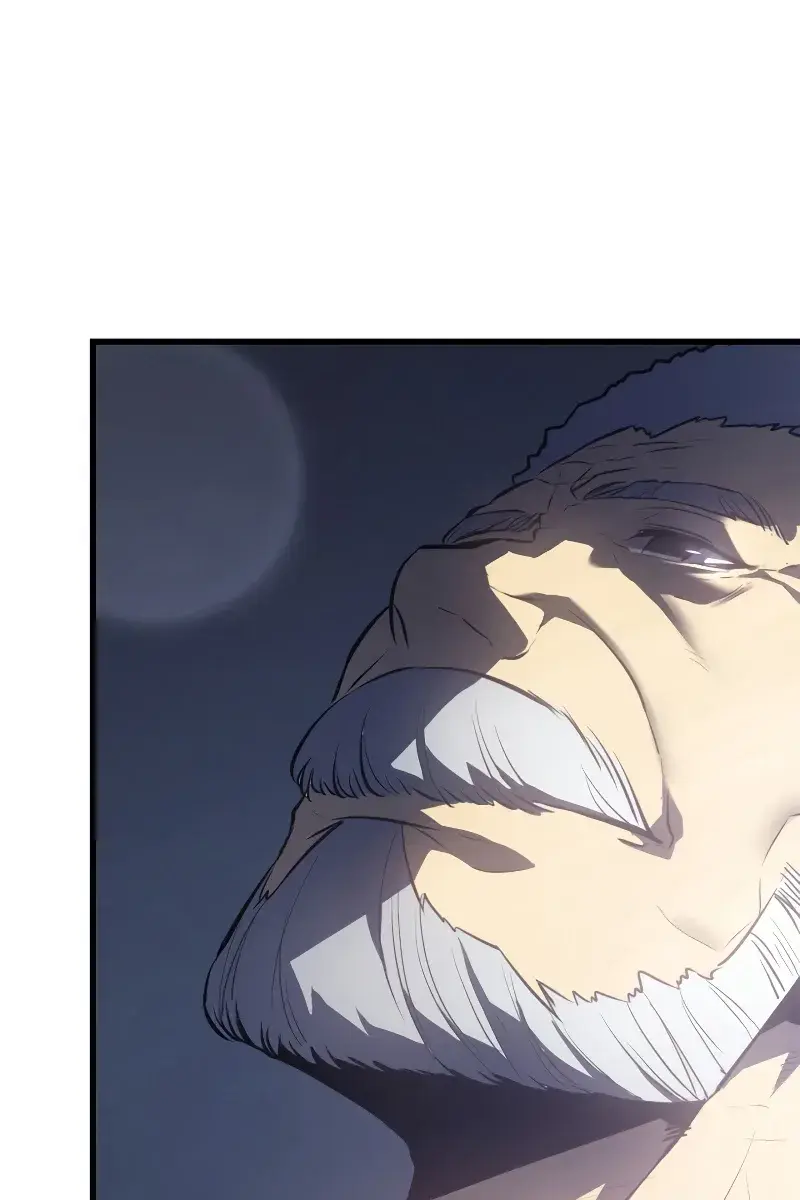 Solo Leveling Chapter 188 Page 191