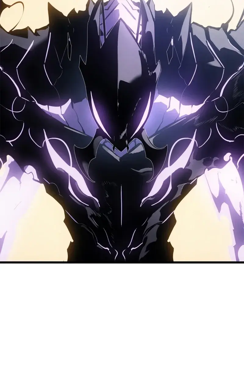 Solo Leveling Chapter 192 Page 24