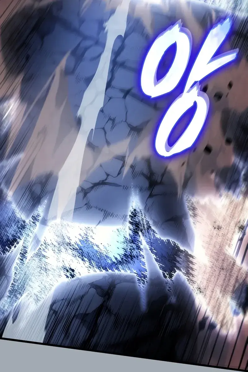 Solo Leveling Chapter 196 Page 14