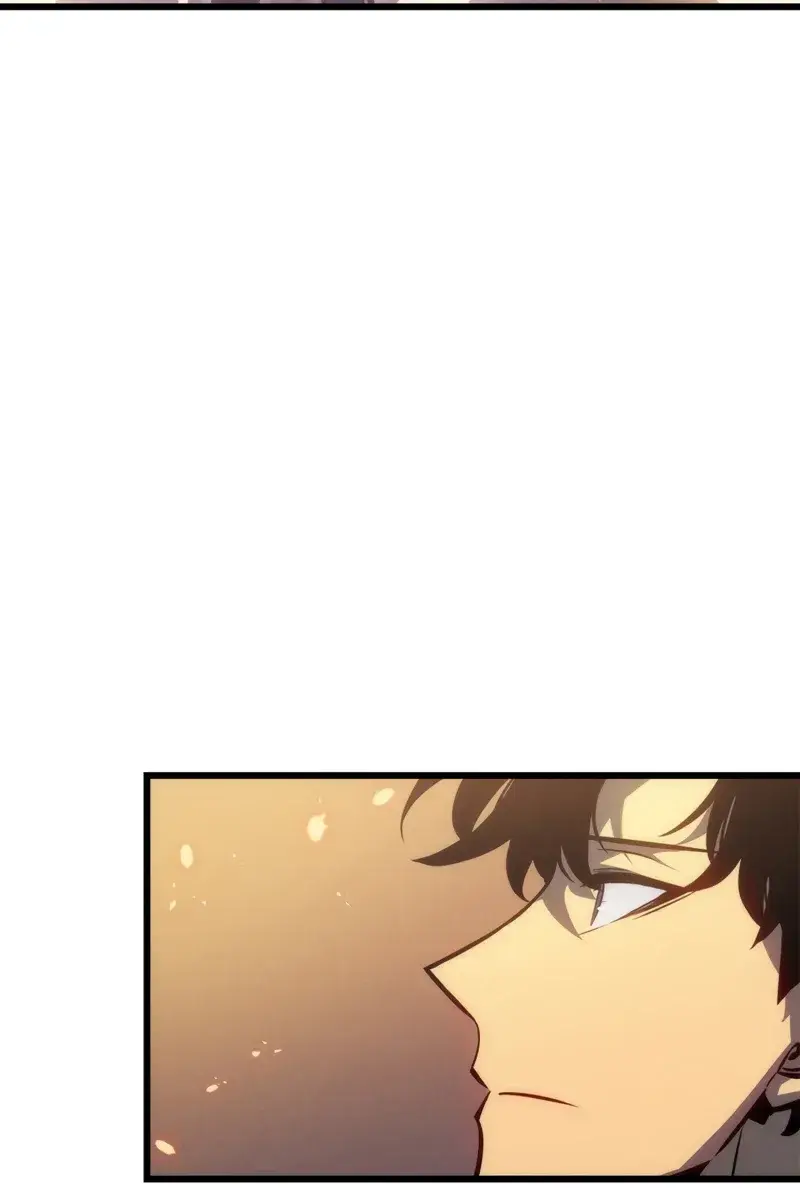 Solo Leveling Chapter 196 Page 47