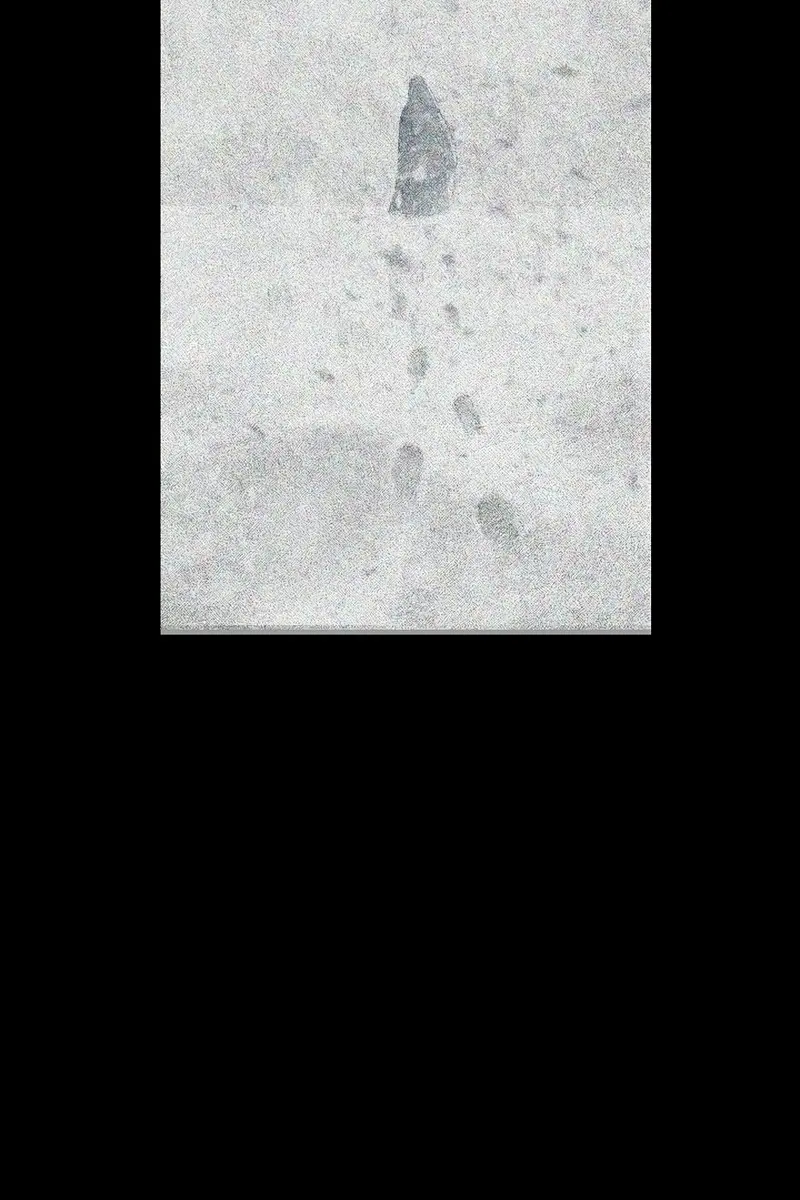 SSS Class Revival Hunter Chapter 63 Page 29