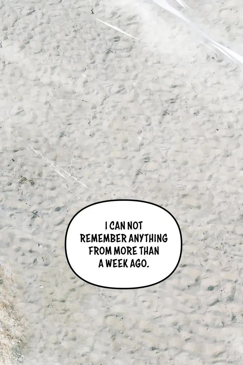 SSS Class Revival Hunter Chapter 121 Page 17