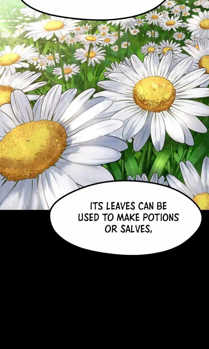 Latna Saga: Survival of a Sword King Chapter 266 Page 40