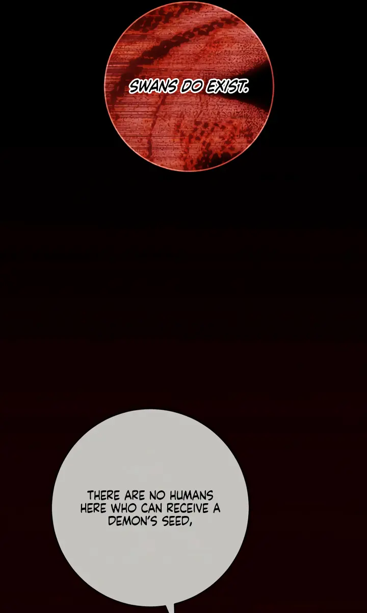 Swan S Grave Chapter 6 Page 71
