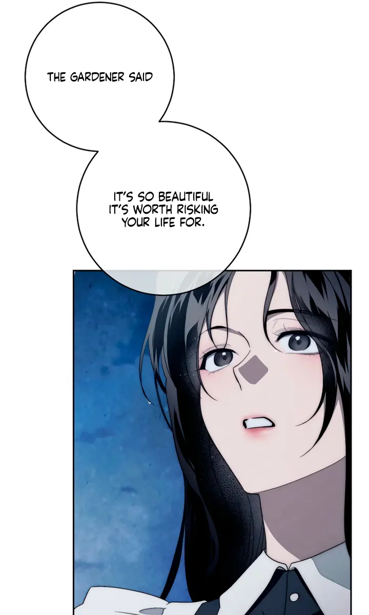Swan S Grave Chapter 12 Page 81