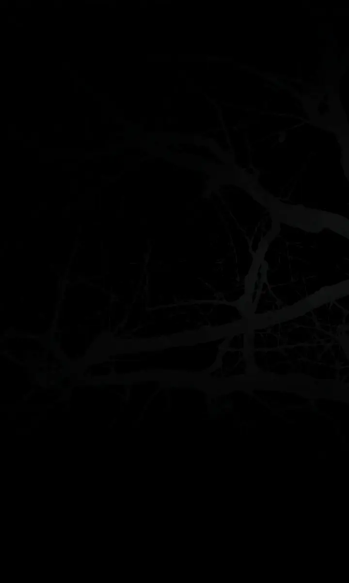 Swan S Grave Chapter 12 Page 120