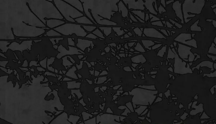 Swan S Grave Chapter 15 Page 60