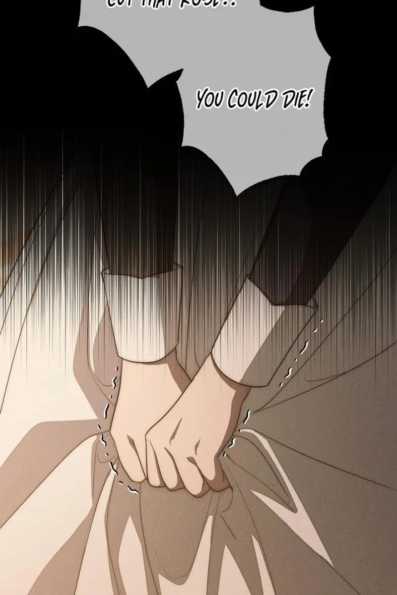 Swan S Grave Chapter 24 Page 8