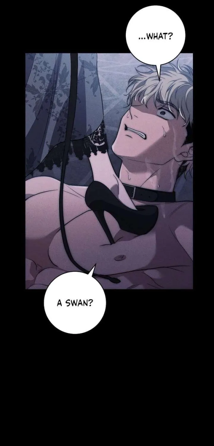 Swan S Grave Chapter 36 Page 41