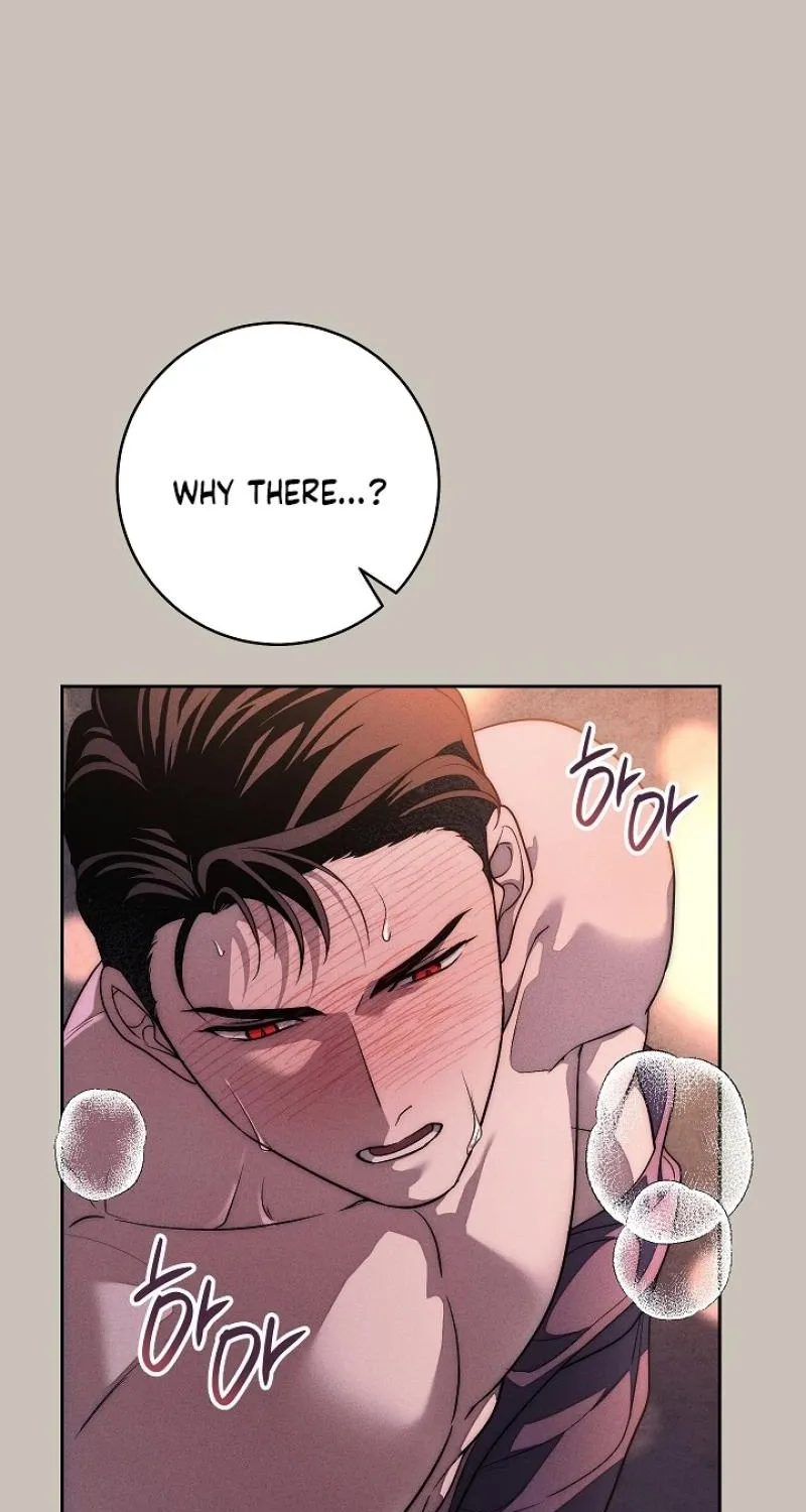 Swan S Grave Chapter 41 Page 72