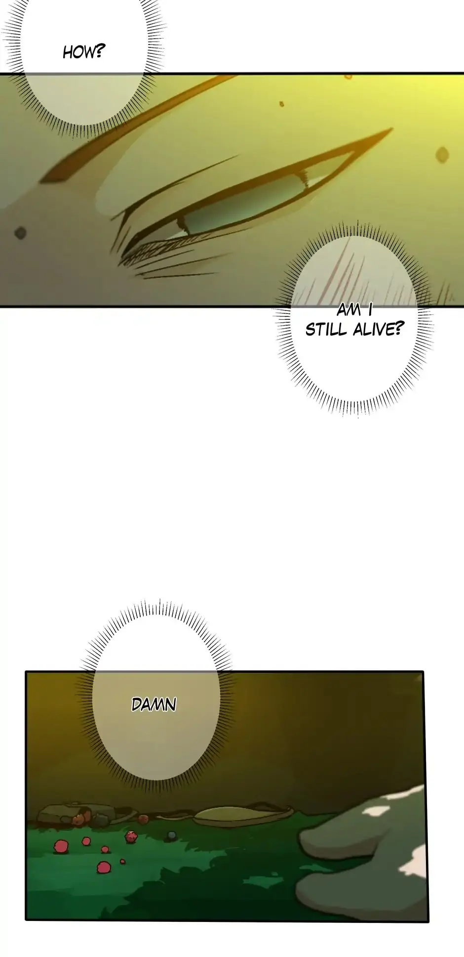 The Beginning After the End Chapter 11 Page 29