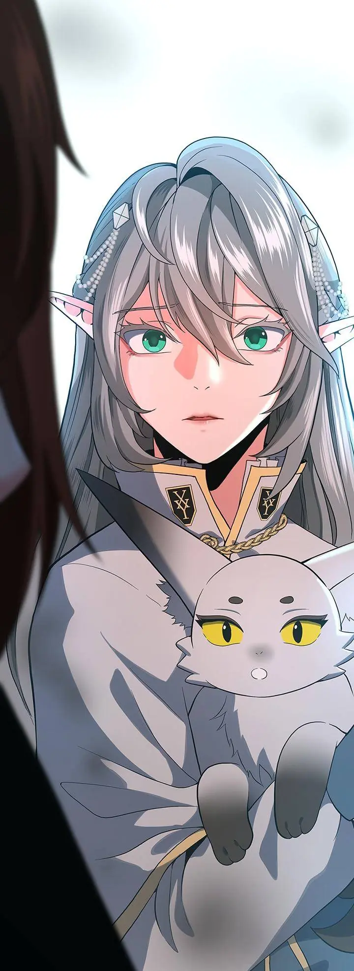 The Beginning After the End Chapter 109 Page 65