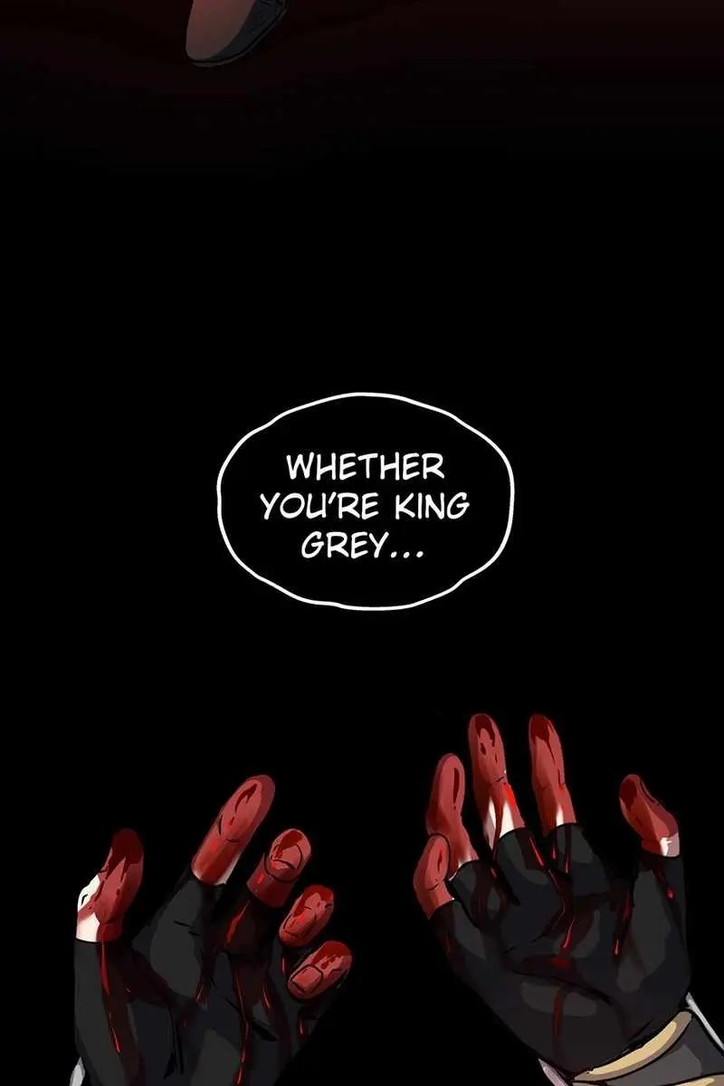 The Beginning After the End Chapter 206 Page 100