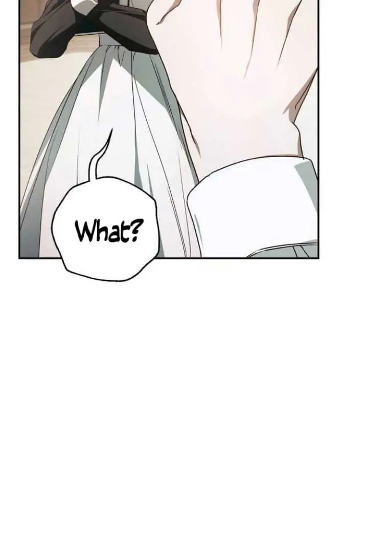 The Count's Secret Maid Chapter 12 Page 11