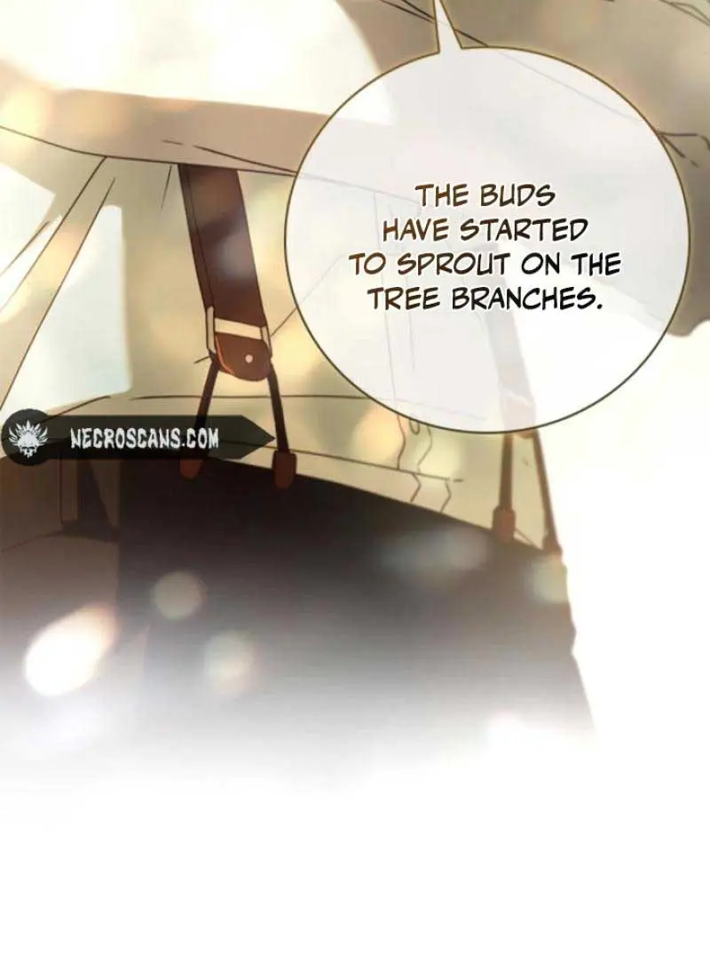 The Count's Secret Maid Chapter 13 Page 11