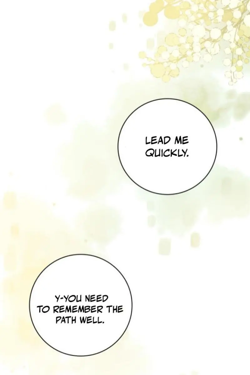 The Count's Secret Maid Chapter 20 Page 105