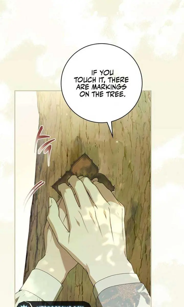 The Count's Secret Maid Chapter 27 Page 50