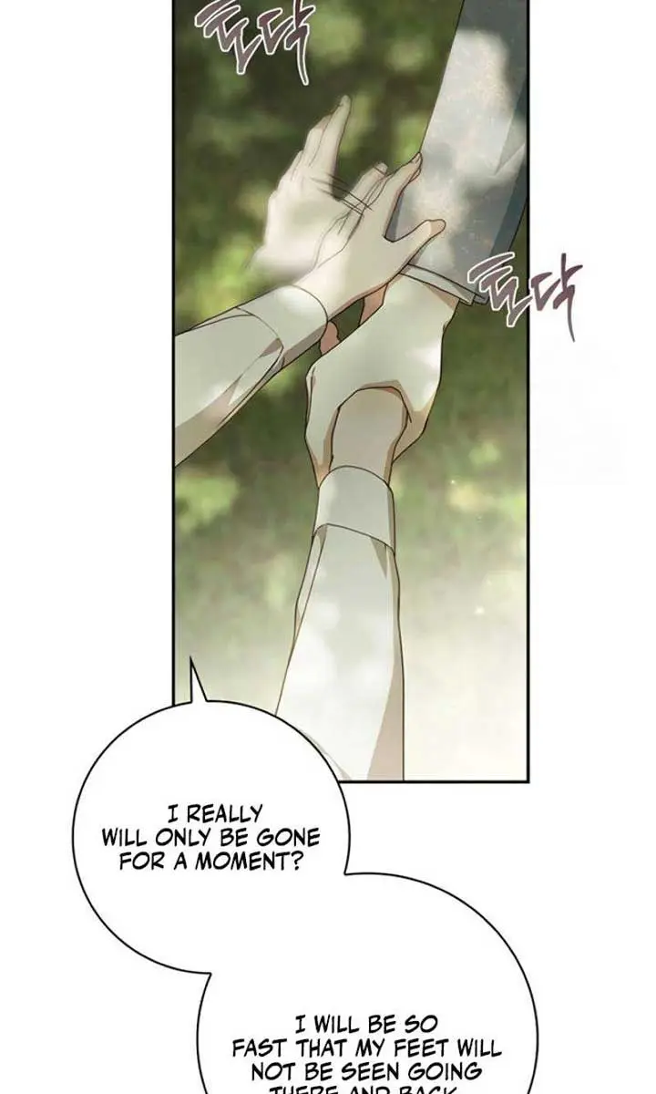 The Count's Secret Maid Chapter 27 Page 80