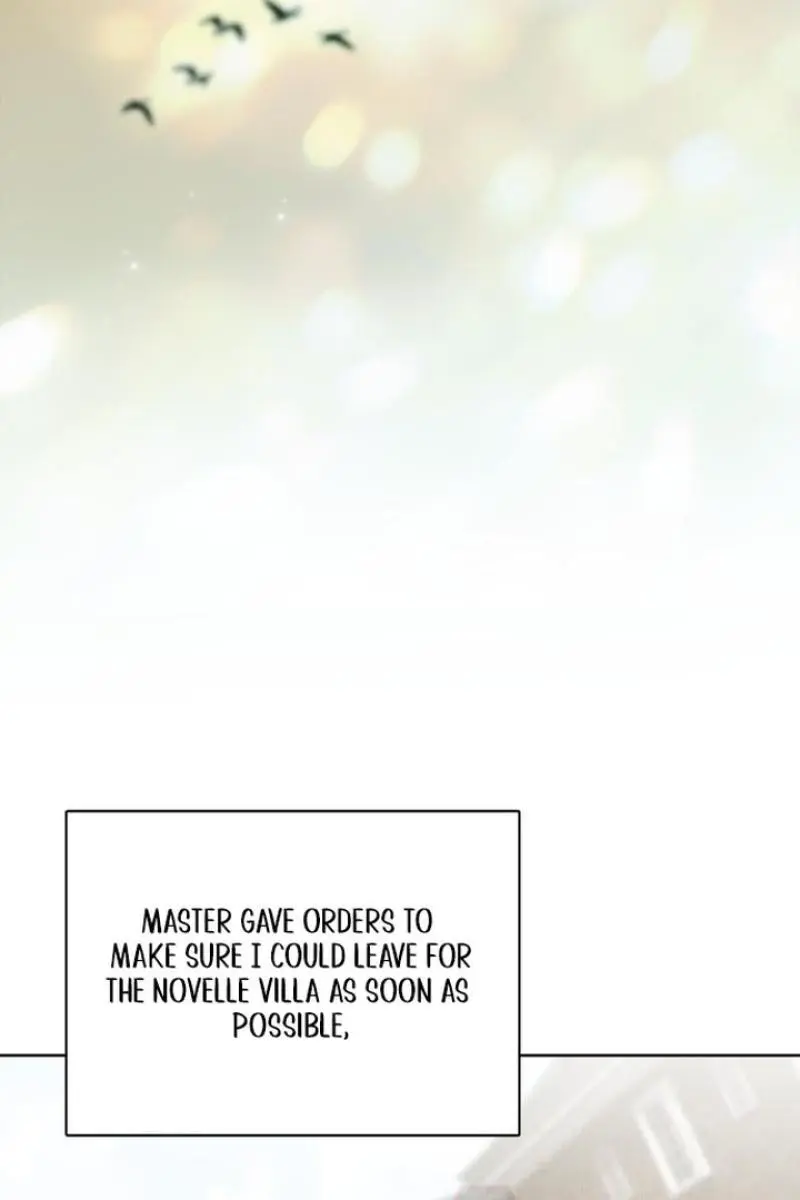 The Count's Secret Maid Chapter 43 Page 32