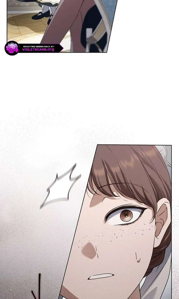 The Count's Secret Maid Chapter 54 Page 95