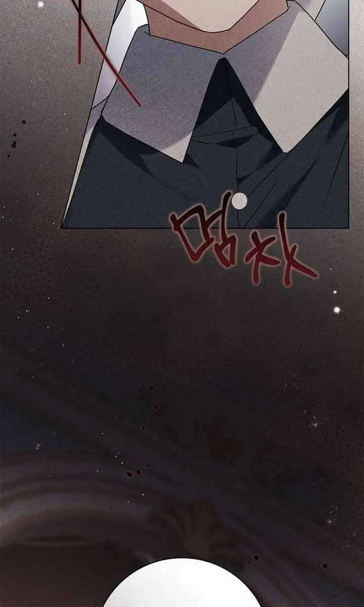 The Count's Secret Maid Chapter 54 Page 96