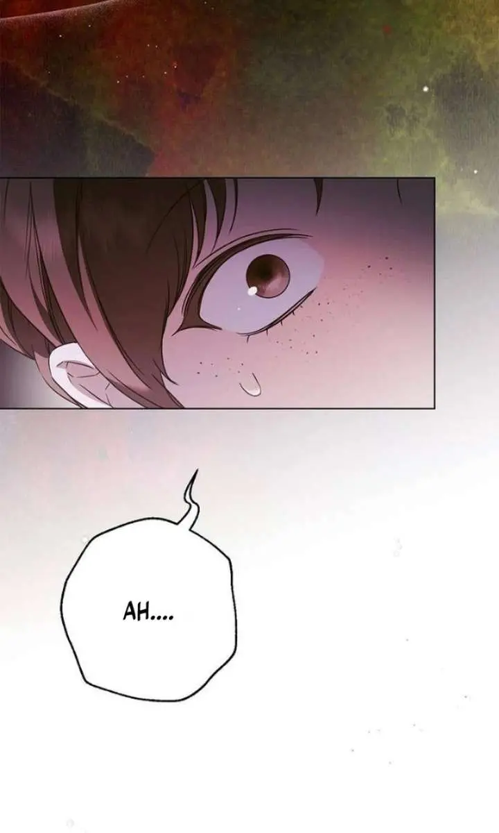 The Count's Secret Maid Chapter 55 Page 6