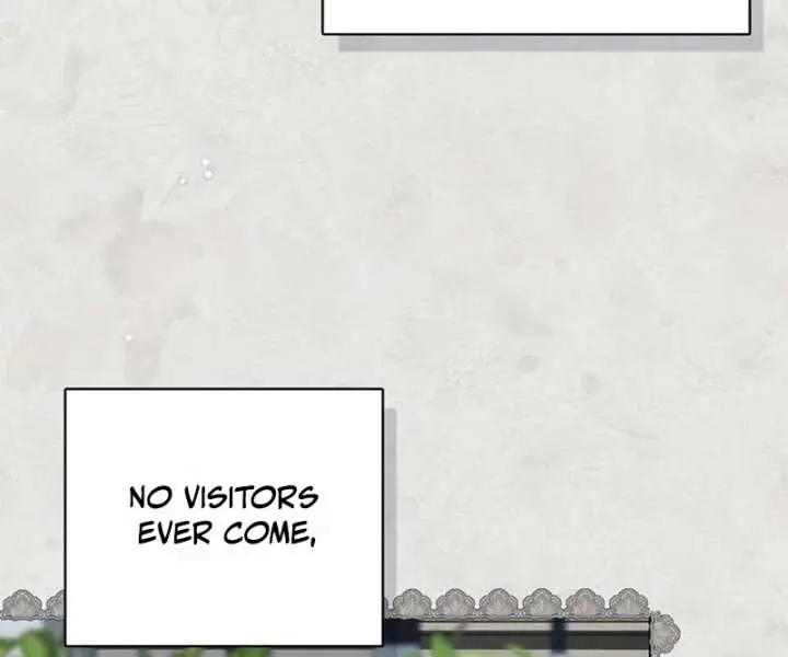 The Count's Secret Maid Chapter 55 Page 105
