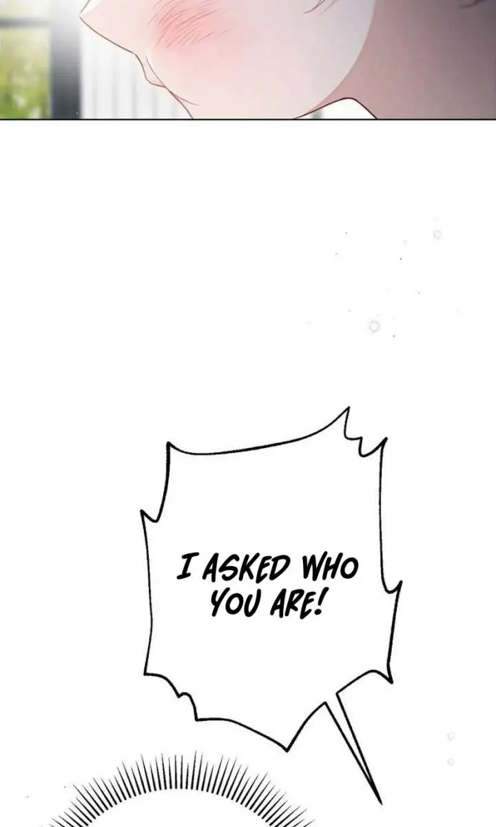The Count's Secret Maid Chapter 56 Page 49