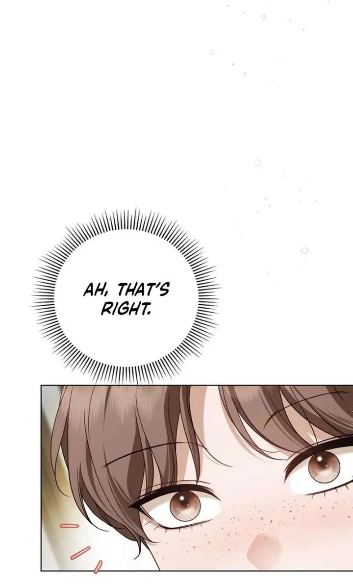 The Count's Secret Maid Chapter 62 Page 41