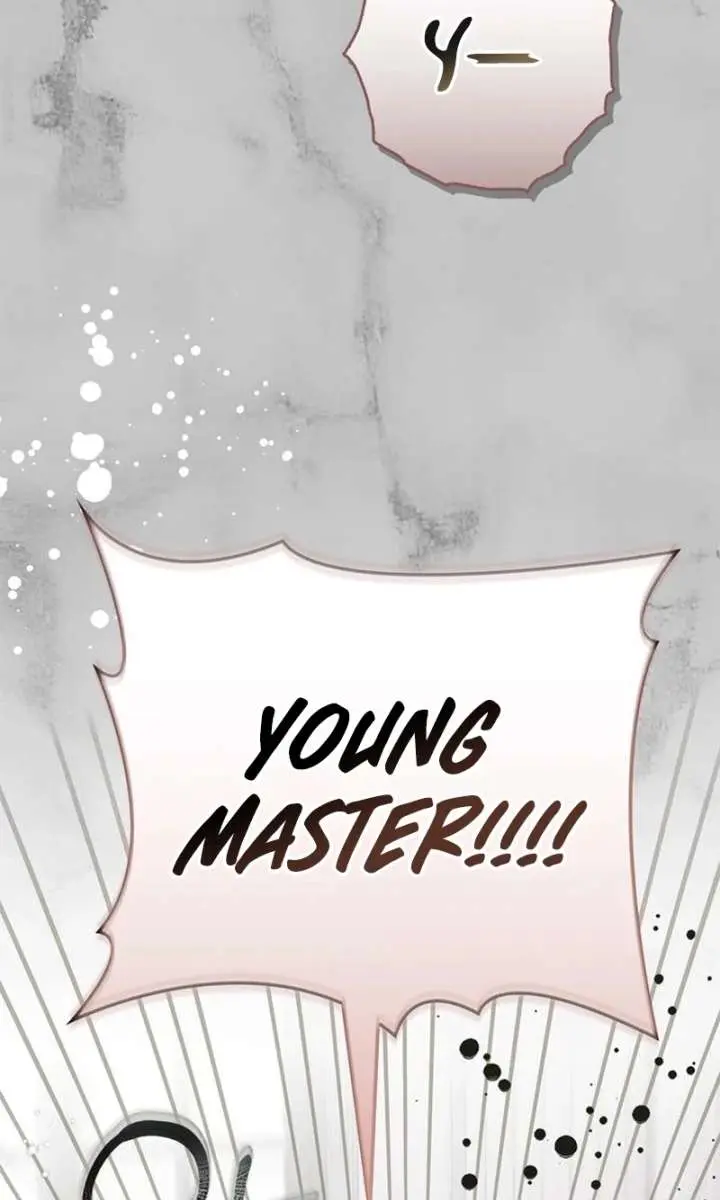 The Count's Secret Maid Chapter 78 Page 67