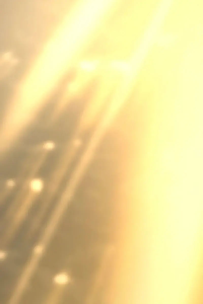 The Greatest Estate Developer Chapter 205 Page 104