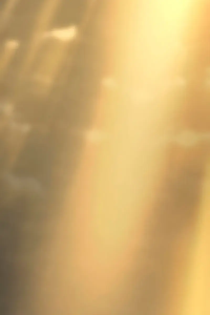 The Greatest Estate Developer Chapter 205 Page 105