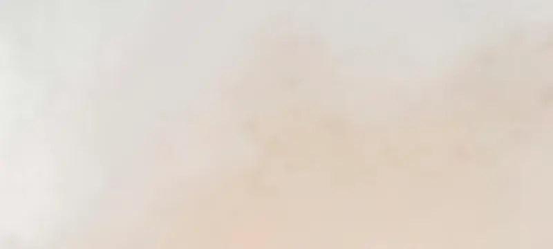 The Greatest Estate Developer Chapter 219 Page 49