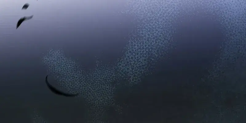 The Novel's Extra Remake Chapter 69 Page 46