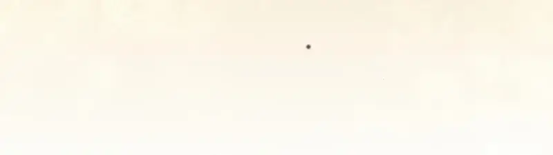 The Novel's Extra Remake Chapter 129 Page 38