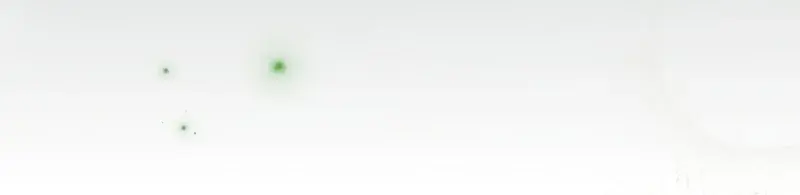 The Novel's Extra Remake Chapter 133 Page 165