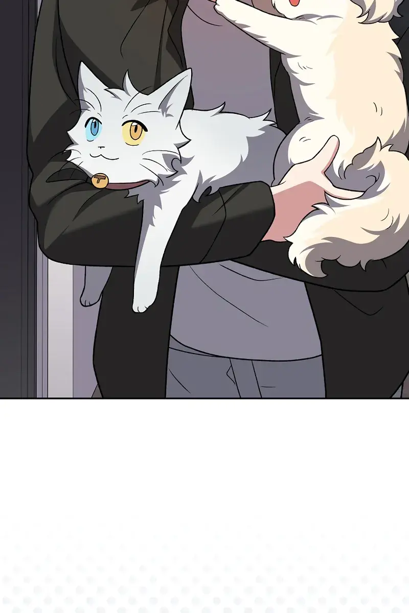 The Novel's Extra Remake Chapter 148 Page 5