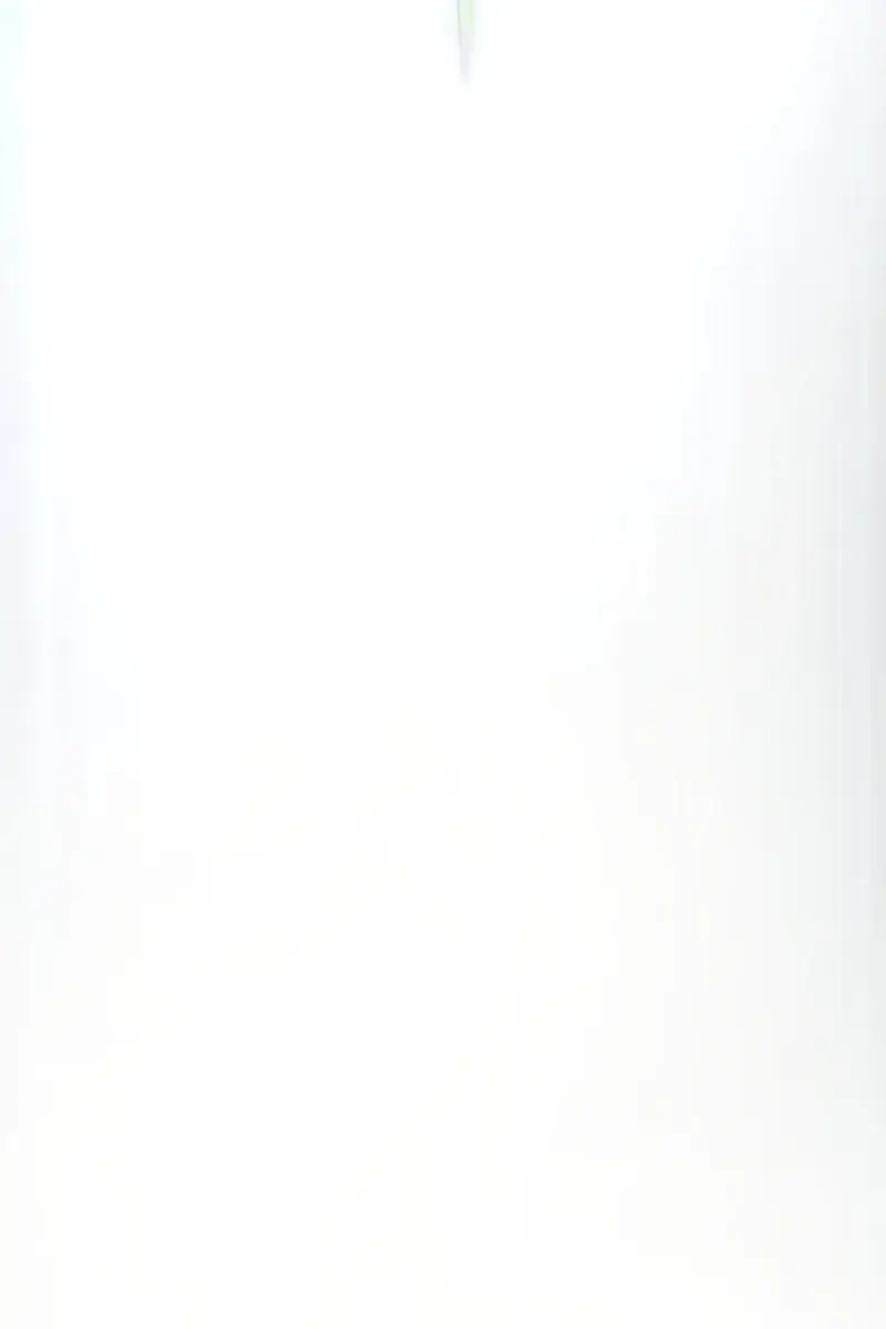 The Novel's Extra Remake Chapter 153 Page 94