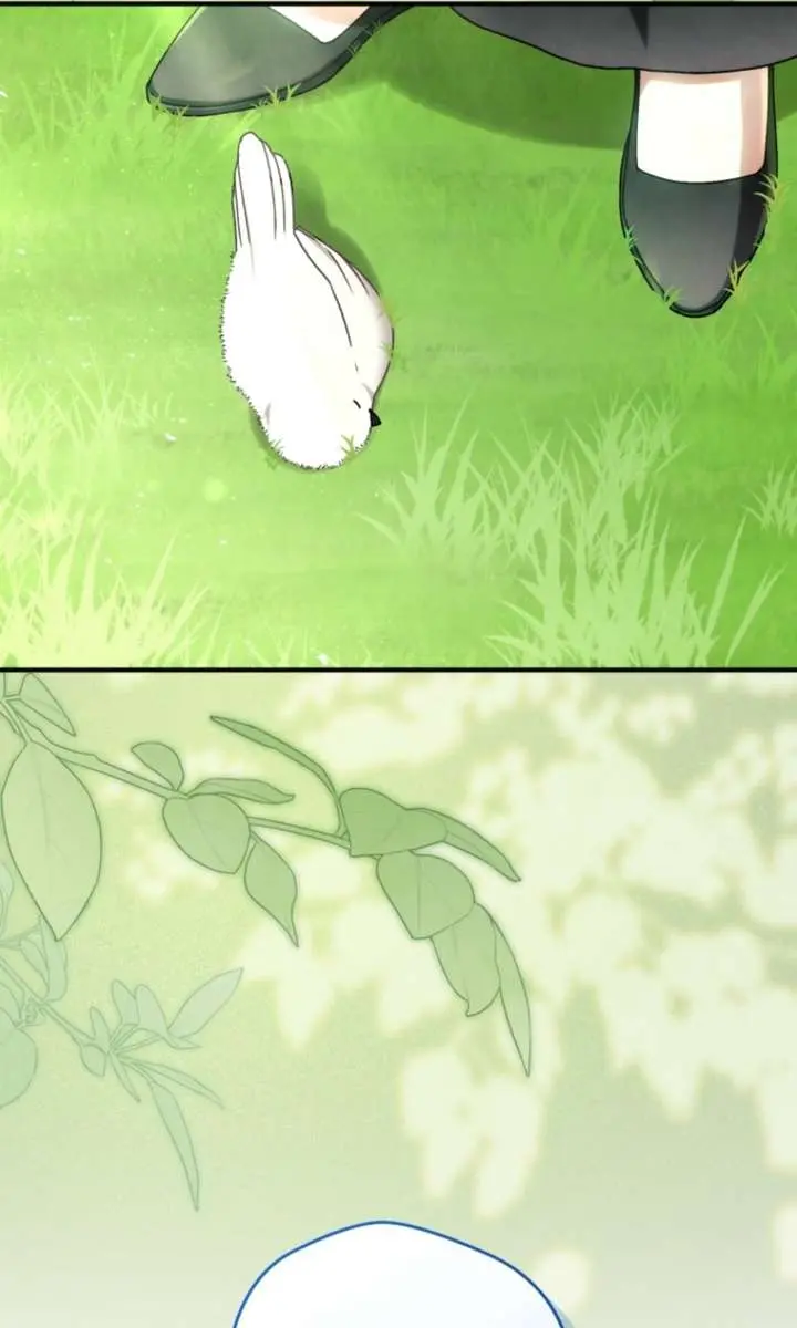 The White Tiger Clan's Baby Cotton Ball Chapter 8 Page 61