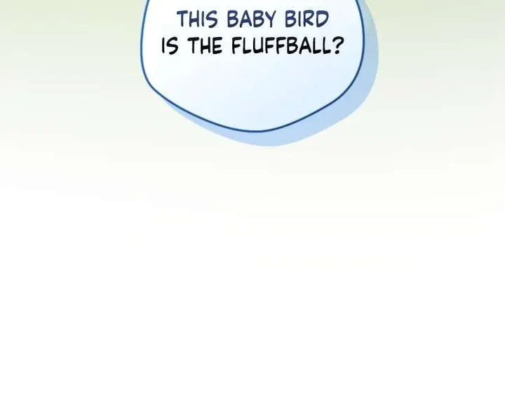 The White Tiger Clan's Baby Cotton Ball Chapter 8 Page 62