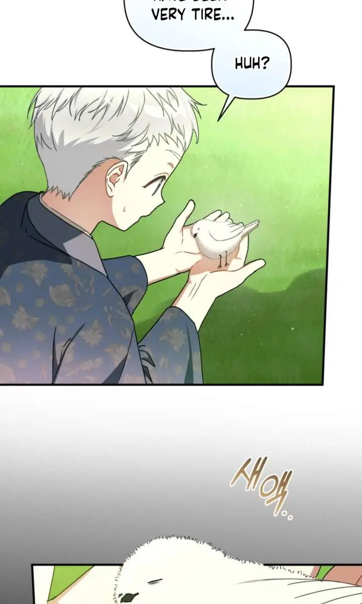 The White Tiger Clan's Baby Cotton Ball Chapter 8 Page 65