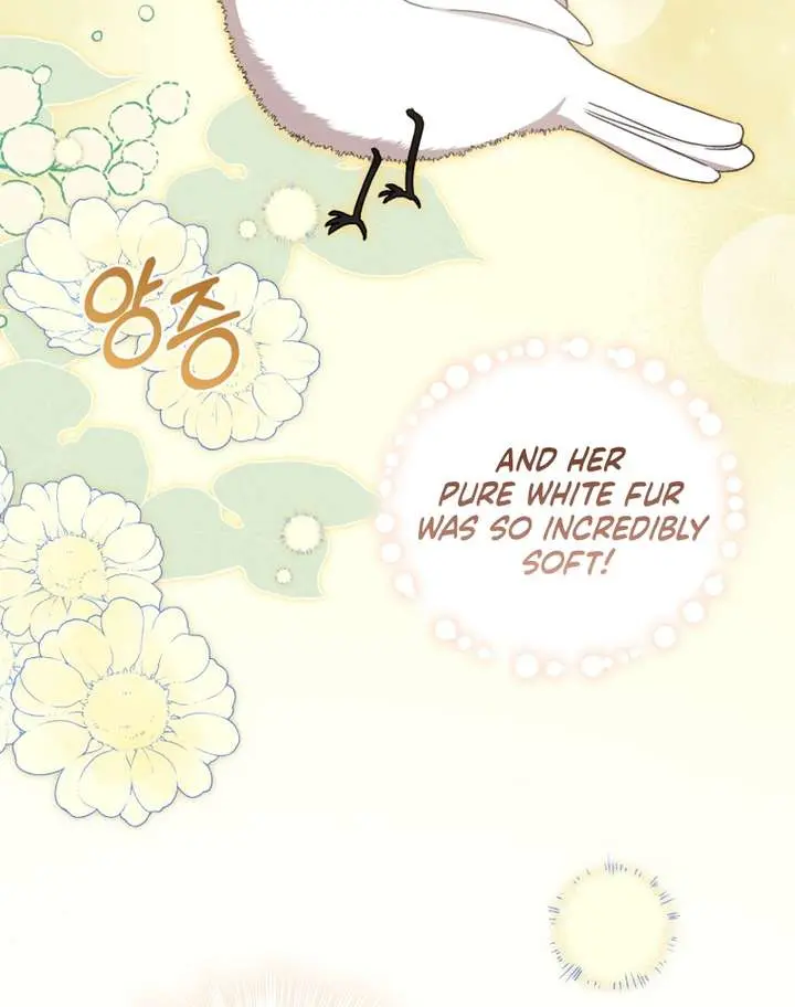 The White Tiger Clan's Baby Cotton Ball Chapter 10 Page 14